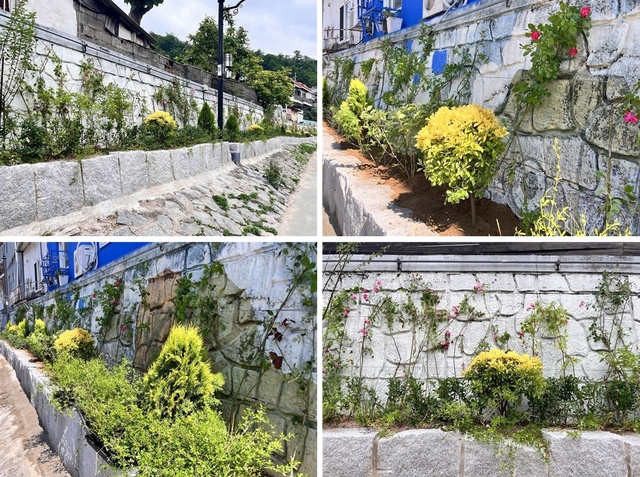‘꽃담길’ 모습. 서대문구청 제공