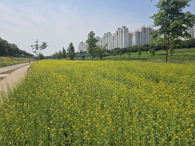 서울 금천구 제공