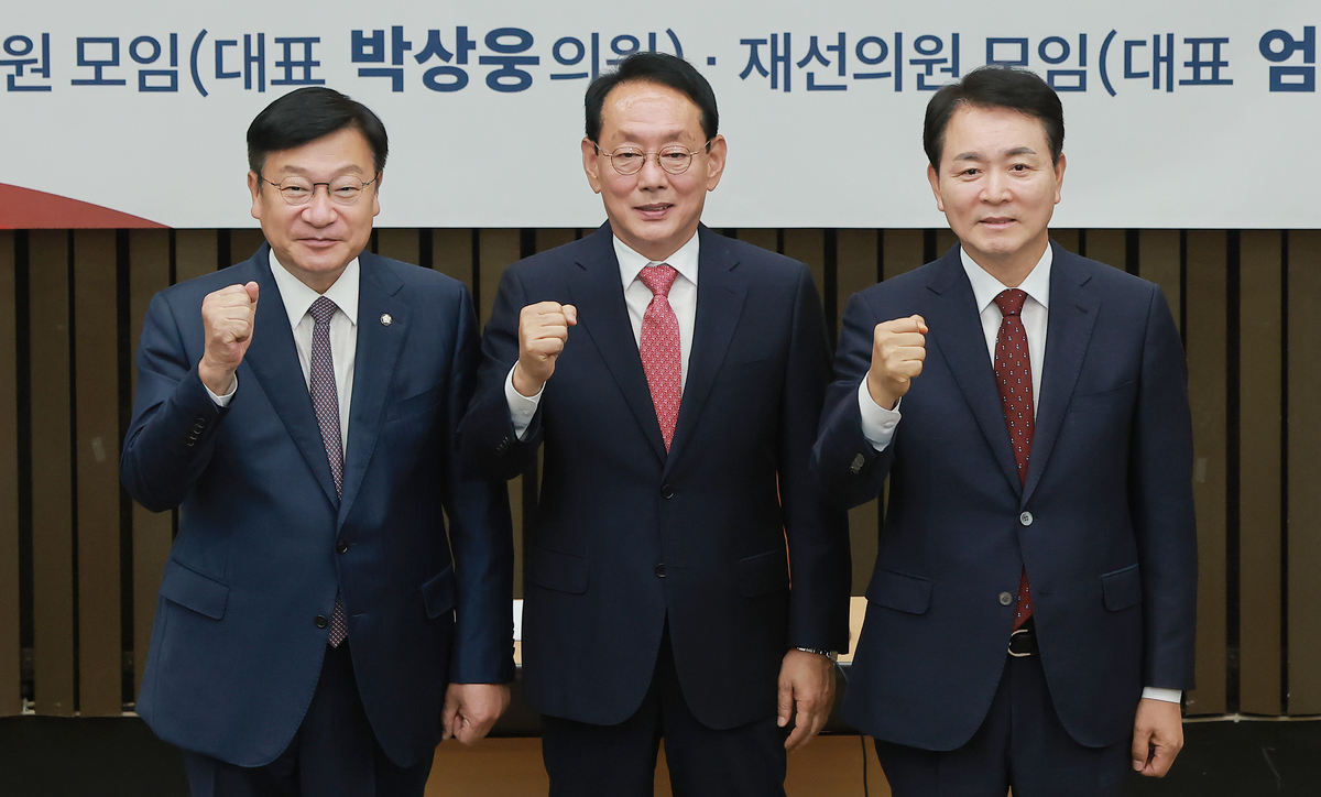국힘 새 원내대표는 누구? 김도읍·정점식·성일종 3파전