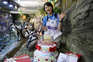 “펭귄 생일 축하해”