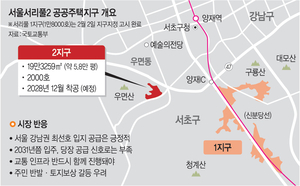 서리풀 2지구에 공공 2000가구…“2031년 입주, 공급효과 미미”