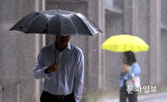 기사와 직접 상관없는 이미지. 문화일보 자료사진