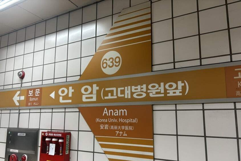 [속보]지하철 6호선 안암역 가스 유출…소방점검 중, 한때 양방향 무정차 통과