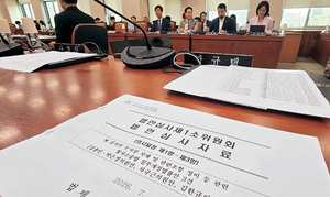 국민안전 뒷전… 89차례 회의하고도 ‘부실수사 보완’ 포기한 정부