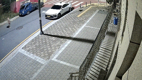 경찰이 범행 직후 알몸으로 도로를 배회하던 피의자와 마주쳤지만 곧바로 하차하지 않고 천천히 차량을 후진하는 모습.  뉴시스
