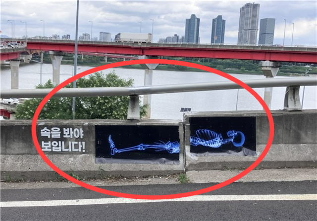 연합뉴스