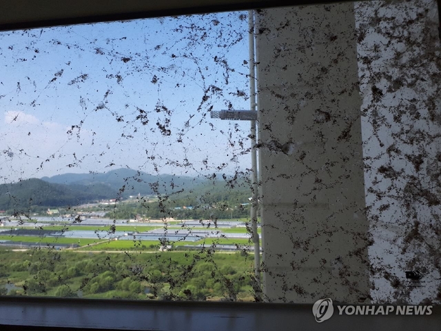거미떼로 뒤덮인 아파트