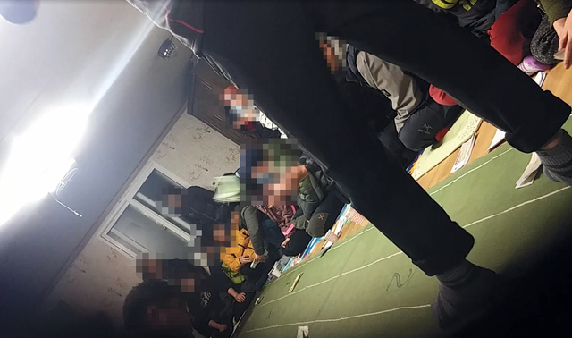 뉴시스