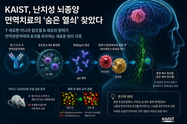 카이스트 제공