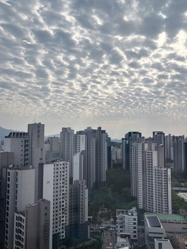 서울 서초구 아파트 전경. 독자제공