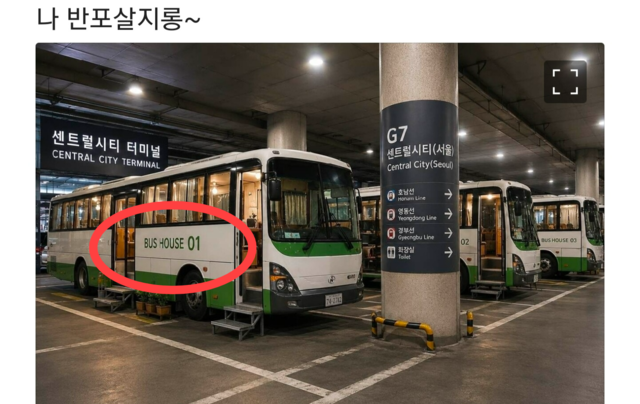 SNS 캡처
