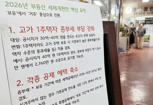 보유세 2년새 2배 ‘징벌적 과세’… 부동산의 정치화