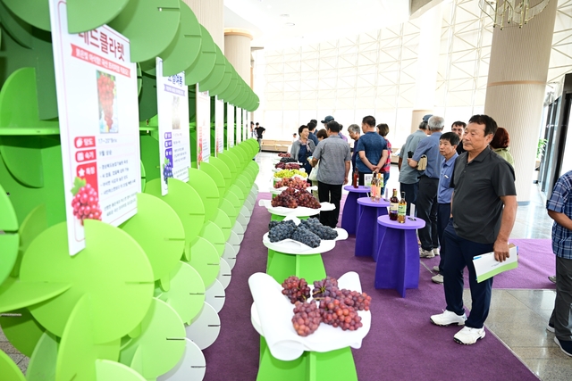 2026 김천포도축제의 포도 품평회 모습. 김천시청 제공