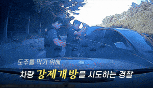 순찰차 부수고 실탄 발사에도 도주… ‘모의총 위협’ 운전자 구속 [영상]