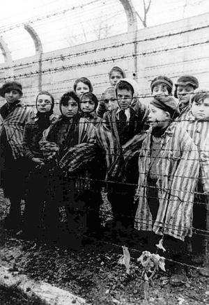 “과학은 옳다” 맹신하는 순간… 번져가는 가짜 과학[북리뷰]