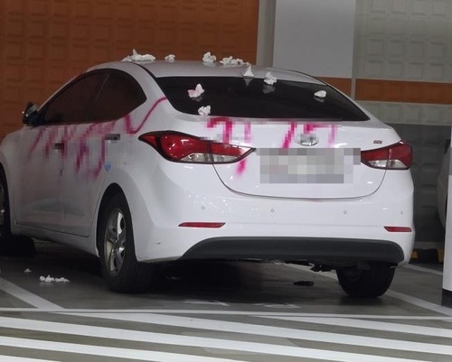 잔소리했다고 붉은 스프레이 차량 테러한 30대 중국인女