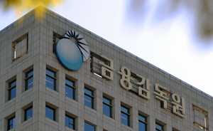 “美선 허용” 단일종목 ETF… 알고보니 규제허점 노린 상품