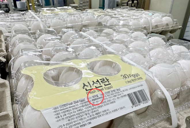 이형일 장관 "브라질 계란 수입, 매우 가치 있는 정책" - 뉴스 썸네일 이미지