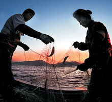 <박상문의 Photo & Essay>통통하게 살오른 가을 전어, 그물에 ‘주렁주렁’