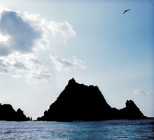 <박상문의 Photo & Essay>우뚝 솟은 ‘국토 막내’ 한민족 기상 그대로 !