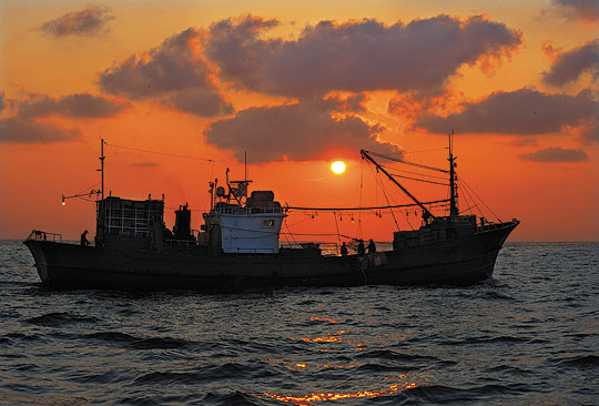 붉은 대게잡이를 위해 오전 3시 경북 울진군 후포면 후포항을 출항한 통발어선 명윤호가 밝게 솟아오른 아침 햇살을 받으며 동해의 황금어장에서 조업을 하고 있다. 연중 포획이 가능한 붉은 대게의 최대 주산지는 후포항이다.