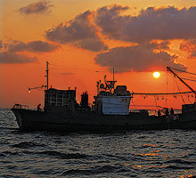 <박상문의 Photo & Essay>“붉은 대게로 배 채워라”… 붉게 물든 ‘만선의 꿈’