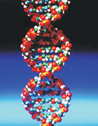 DNA 나선구조 개념도.