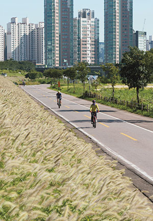 영등포구 내 안양천변에는 9.3㎞의 산책로 겸 자전거 도로가 조성돼 있다.