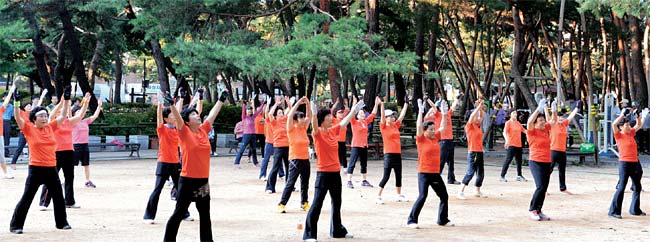 솔밭체조회 회원들이 강사의 동작에 맞춰 체조를 하고 있다.심만수 기자