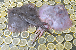 오돌오돌한 식감으로 미식가들이 즐겨찾는 간재미. 몸에 유익한 성분을 많이 지녀 건강식으로도 손색이 없다.   김호웅 기자 diverkim@