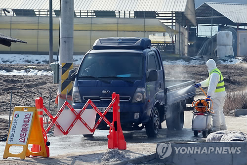 충북 제천시 금성면 사곡리의 한 농가에서 한우 1마리가 구제역에 감염된 것으로 확인된 가운데 지난 6일 이 마을 입구에 설치된 방역초소에서 검역본부 직원이 축산관련 차량을 대상으로 방역소독을 하고 있다.
