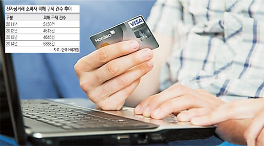 전자상거래 과정의 불충분한 정보와 불건전한 상행위로 소비자 피해 불만이 갈수록 늘어 주의가 필요하다는 지적이 나오고 있다.
