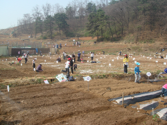 서울 시내 각 구청들이 주말농장 등을 분양해 주민들의 도시농사 체험 돕기에 나서고 있다. 사진은 지난해 4월 구로구 궁동 주말농장에서 주민들이 밭을 정리하고 있는 모습. 구로구 제공
