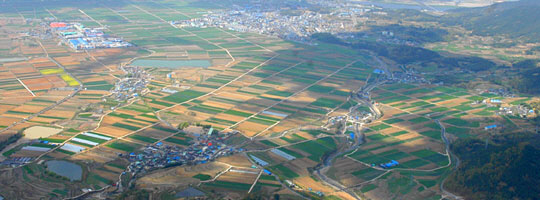 <자치 20년, 지방이 경쟁력이다>변방의 농촌, 첨단新도시로 … 이젠 大邱경제 절반 책임