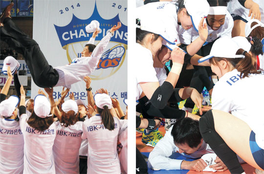 이정철 IBK기업은행 감독이 31일 V리그 여자부 챔피언결정전에서 우승을 확정한 뒤 선수들로부터 헹가래를 받았지만(왼쪽 사진) 곧바로 바닥에 깔려 선수들의 ‘멍석말이’(오른쪽 )를 당하고 있다.