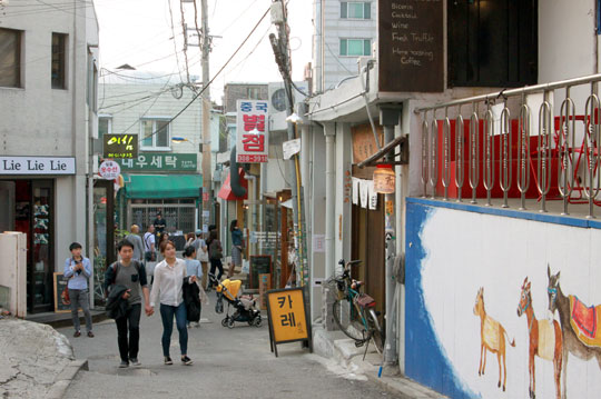 동진시장 뒷골목은 산책 나온 사람들로 북적이다 한가해지기를 반복한다. 골목 안 피노키오 책방 앞 노랑 ‘길냥이’도 자주 보인다.