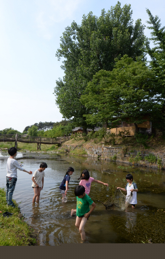 <이호준의 ‘나를 치유하는 여행’>풋과일 물고 송사리 쫓던  어릴 적 나를 보다