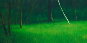 주태석의 ‘자연-이미지’.