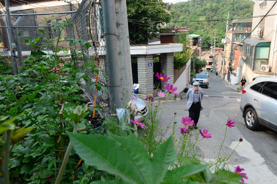 황동규 시인이 지난 10여 년간 자신의 시의 무대가 된 사당3동 윗동네를 걷고 있다. 지난 6월 22일 동네 산책에 나선 시인은 최근 몇년 사이 동네의 많은 풍경들이 사라졌다며 자신의 시공간 또한 없어지고 있다고 안타까워했다. 신창섭 기자 bluesky@