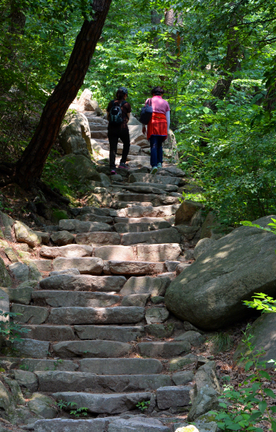 <이호준의 ‘나를 치유하는 여행’>묵묵히 딛는 1080 계단… 사나운 마음 잠잠해진다