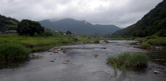 ‘섬진강 시인’ 김용택의 고향이자 한국 현대시의 한 획을 그은 ‘명작의 공간’인 전북 임실군 덕치면 장산리의 섬진강 자락. 이 고적한 강가의 사람과 땅을 노래하며 그는 세상과 치열하게 소통했다. 김낙중 기자 sanjoong@