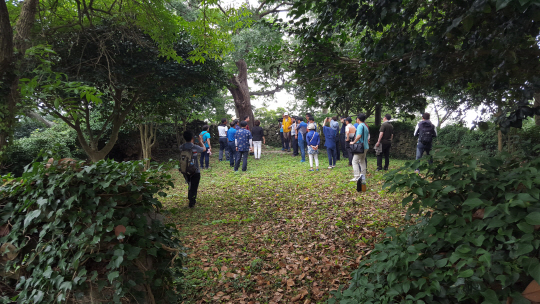 전남 신안군 안좌면 박지도에서 안좌도 쪽을 바라본 ‘천사의 다리’(위 사진)와 반월도 당숲.