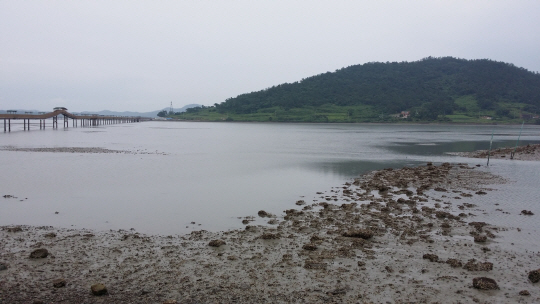 전남 신안군 안좌면 반월도와 박지도 사이에 놓인 ‘중노두’를 반월도 쪽에서 바라본 모습. 중노두는 박지도 비구 스님과 반월도 비구니 스님 간 애틋한 사랑의 가교라고 전해진다.  전남도 제공