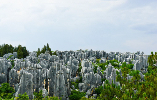 4계절 기후 쾌적 … 석회암 숲 ‘石林’ 장관