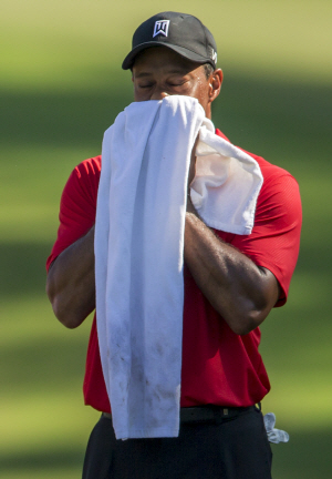 타이거 우즈(미국)가 24일(한국시간) 미국 노스캐롤라이나주 그린즈버러의 세지필드 골프장에서 열린 윈덤챔피언십 4라운드 도중 15번 홀 페어웨이에서 수건으로 얼굴의 땀을 닦고 있다.  AP뉴시스