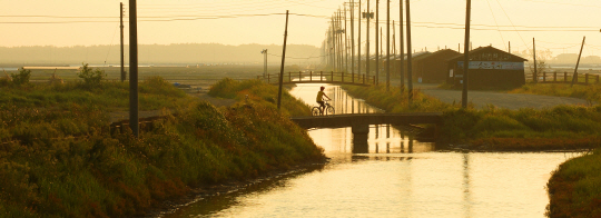 전남 신안 증도에서 한 여행객이 자전거를 타고 낙조의 빛을 받아 황금빛으로 물들어가는 염전 주변의 오솔길을 달리고 있다. 오른쪽으로 보이는 집들이 소금창고다.
