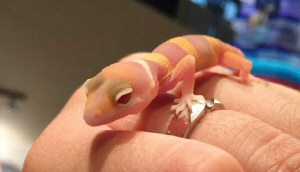 발토앤제이 제공