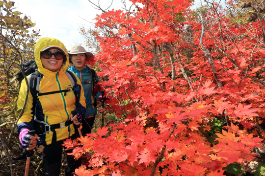 <50代 리포트>“늦깎이 공부·세계일주 계획… 나 자신위해 투자한다”