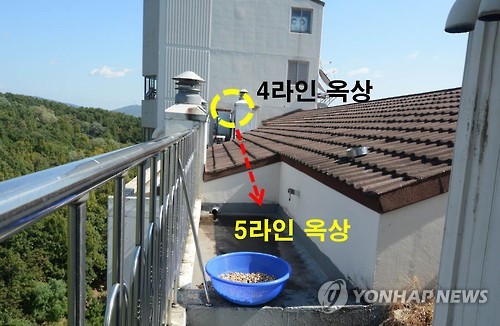 경기 용인 ‘캣맘’ 벽돌 사망사건의 용의자는 아파트 옥상에서 ‘낙하속도 실험’을 한 같은 아파트 단지에 거주하는 초등학생인 것으로 16일 밝혀졌다. A(10)군은 당시 해당 동 아파트 3∼4호 라인의 옥상으로 올라가 벽돌을 주워 5∼6호 라인으로 넘어간 뒤 벽돌 낙하 실험을 했다고 진술한 것으로 전해졌다. 사진은 사건 현장인 아파트 옥상.