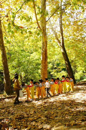 지난 10월 경기 포천시 소흘읍 국립수목원에서 유치원생 어린이들이 산림교육 과정 중 하나인 유아숲체험 프로그램에 참여해 숲길을 걷고 있다.